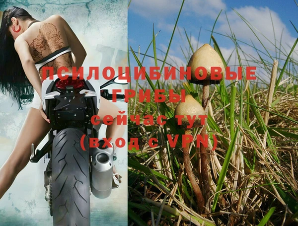ALPHA PVP Балабаново